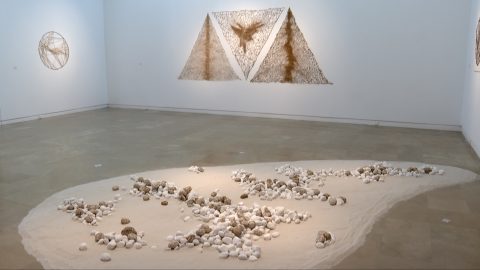 Marinette Cueco expose au Musée de l'Hospice Saint-Roch