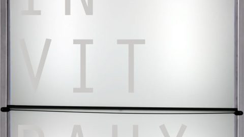In Vitraux #2 